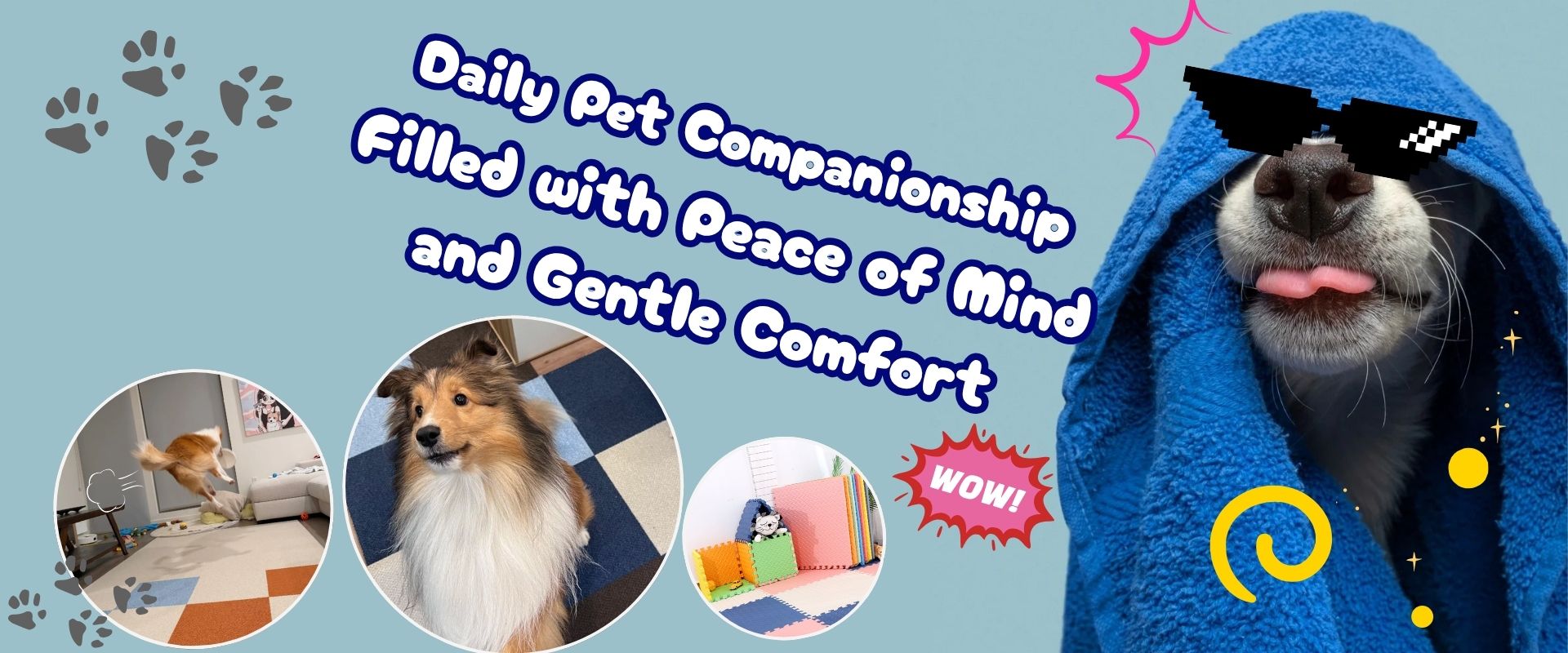 Daily Pet Companionship, Filled with Peace of Mind and Gentle Comfort
